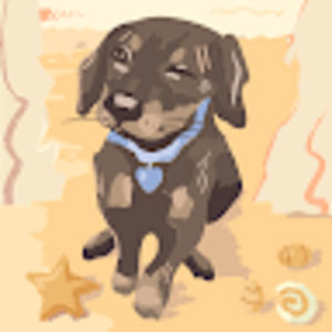 Meet your Posher, Aubrey